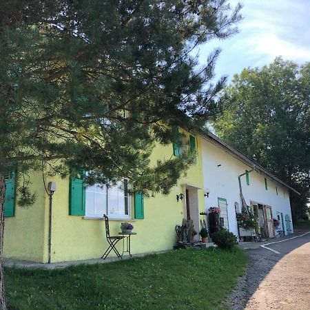 Willa Weiher 1 Rot an der Rot Zewnętrze zdjęcie